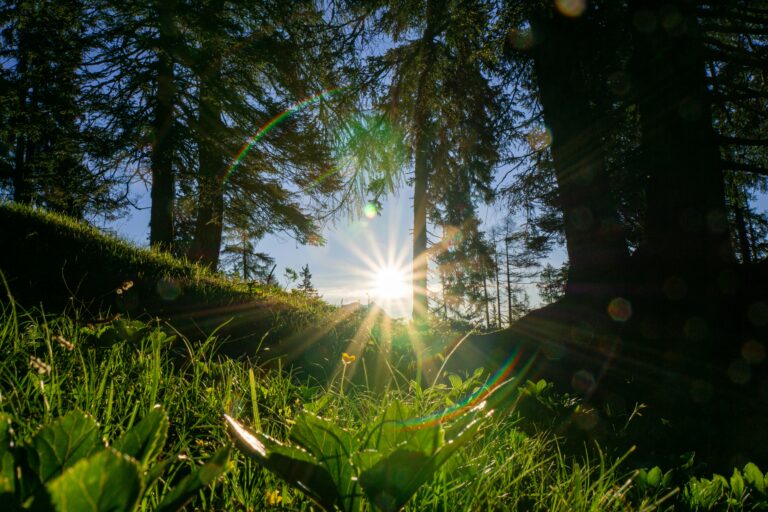 thomas galler yegzou4uzn4 unsplash